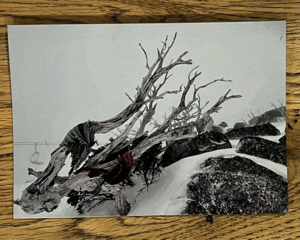 Winter Scenes - 12 Pack Gift Cards - Image 12