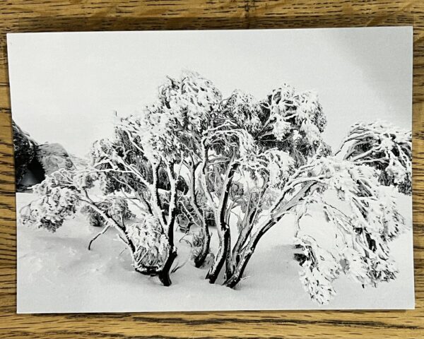 Winter Scenes - 12 Pack Gift Cards - Image 9