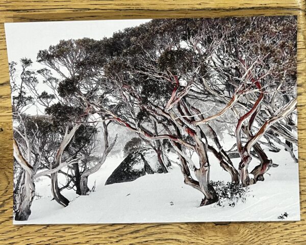 Winter Scenes - 12 Pack Gift Cards - Image 8