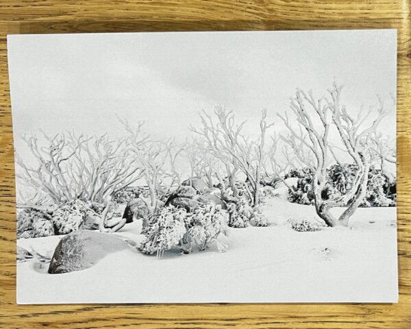 Winter Scenes - 12 Pack Gift Cards - Image 7