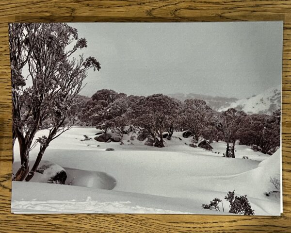 Winter Scenes - 12 Pack Gift Cards - Image 2