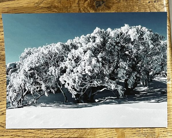 Winter Scenes - 12 Pack Gift Cards - Image 4