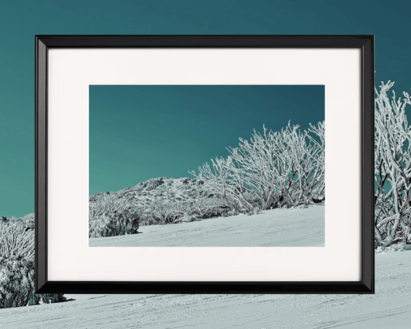 When fresh snow falls on everything around, it lights up the smallest features of the ghost snowgums and even the smallest image of a trig at the top of the Guthega hill.