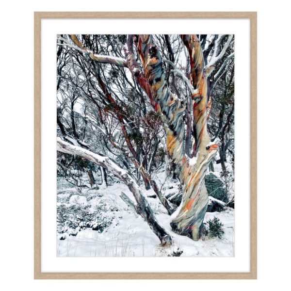 Winter Solstice II Large Framed Print - Image 3