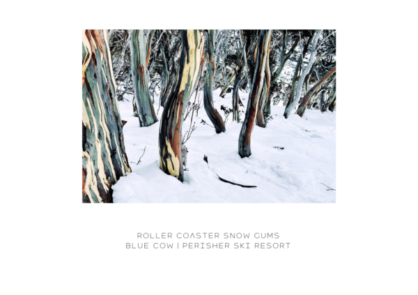 Roller Coaster Snow Gums - Custom Print Fine Art Finish A1 to fit frame